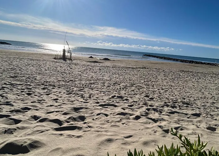 Astudio Lumineux A La Plage, Situation Ideale Commerces, Bateaux ,restaurant A 20 M , A 50 M, Ideal Pour Un Sejour Reposant